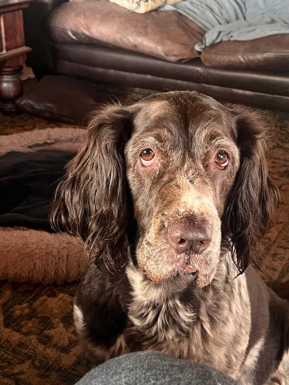 Old friend