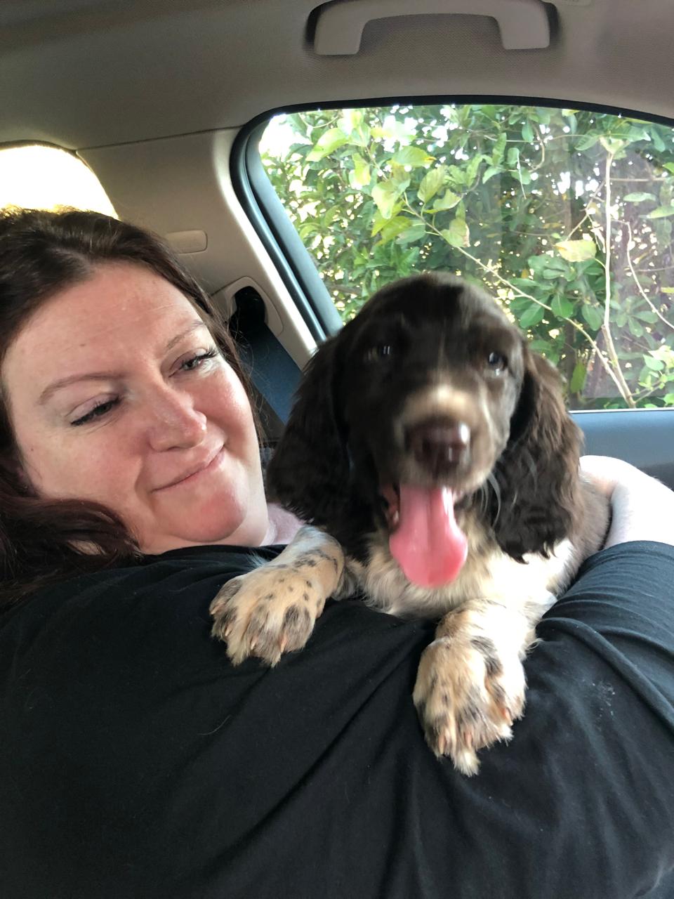 Genevieve and the puppy in the car